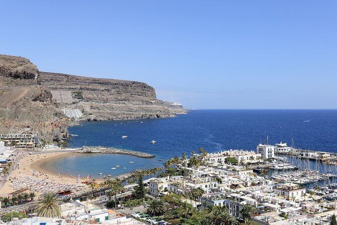 1h Boat Trip + 2h Dockside Local Wine & Food Tasting - Canary Islands wine and cheese without the guesswork