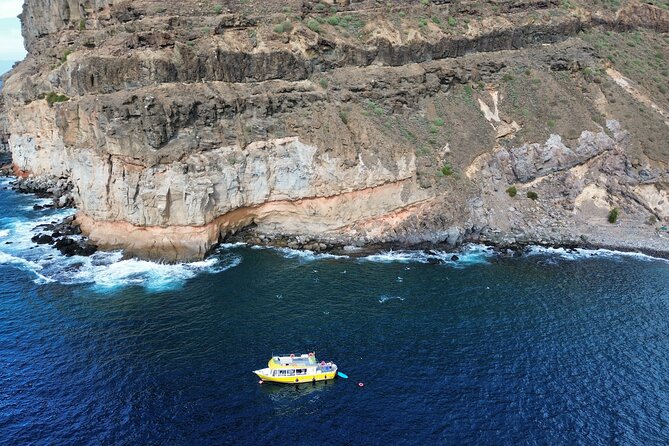 1h Boat Trip + 2h Dockside Local Wine & Food Tasting - Meeting in Puerto de Mogán