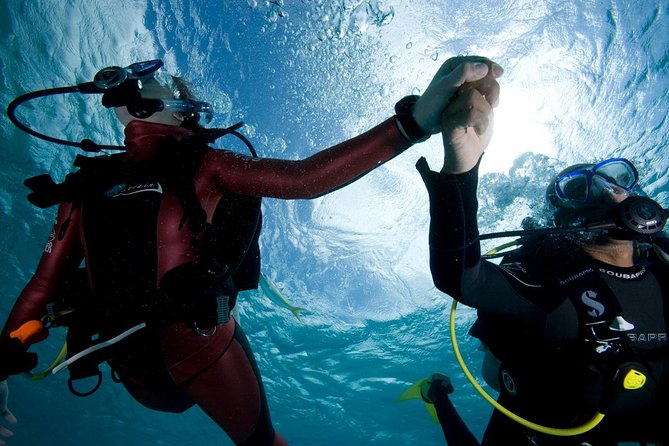 2 Day PADI Scuba Diver Course in Puerto Rico, Gran Canaria - Day two: taking your skills to the sea