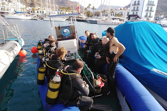 2 Dive Package for PADI Qualified Divers in Gran Canaria - Equipment, paperwork, and the morning rhythm