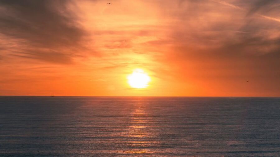 2-H Sunset or Morning Segway experience near by Sand Dunes - Along the promenade from Maspalomas to Playa del Inglés