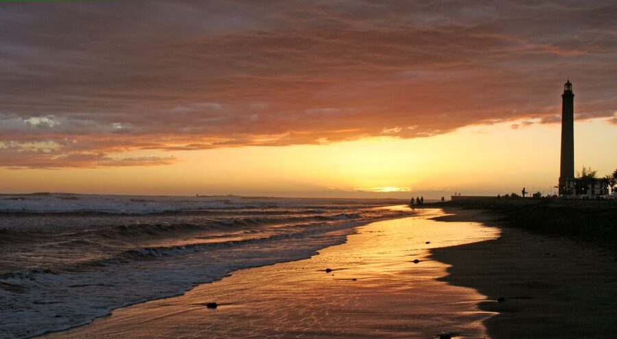 2-H Sunset or Morning Segway experience near by Sand Dunes - Meeting at Bici Bike Vintage in Cita Shopping Center