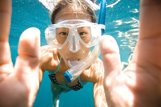 2-Hour Afternoon Snorkeling Experience in Gran Canaria by Boat - Up to One Hour Watching Fish and Crabs