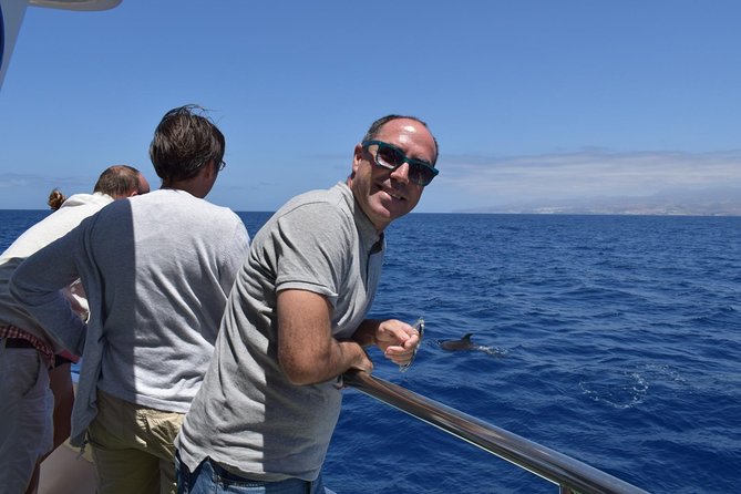 2-Hour Dolphin and Whale Watching in Gran Canaria - Leaving Puerto Rico for the open Atlantic