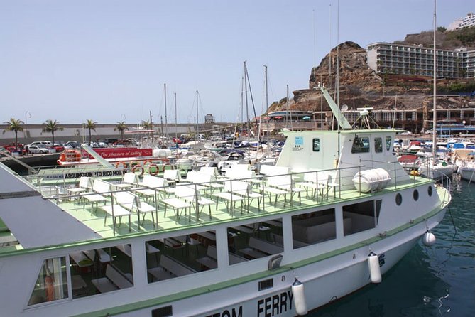 2-Hour Dolphin and Whale Watching in Gran Canaria - Is $42.05 good value?