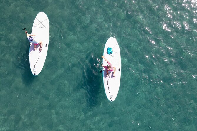 2 Hour Stand Up Paddle Lesson in Gran Canaria - The first lesson: equipment, safety, and warm-up