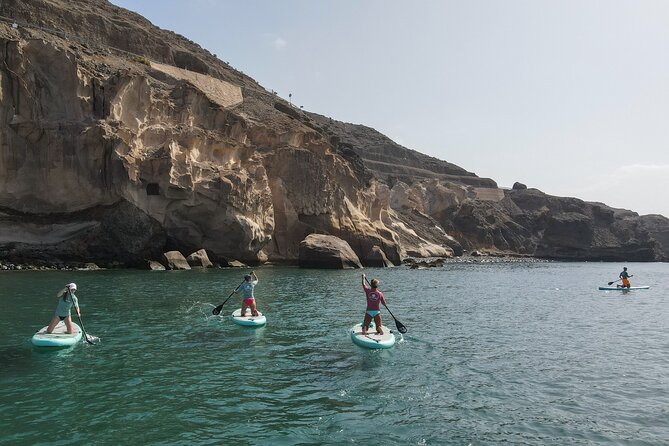 2 Hour Stand Up Paddle Lesson in Gran Canaria - From basic practice to open water