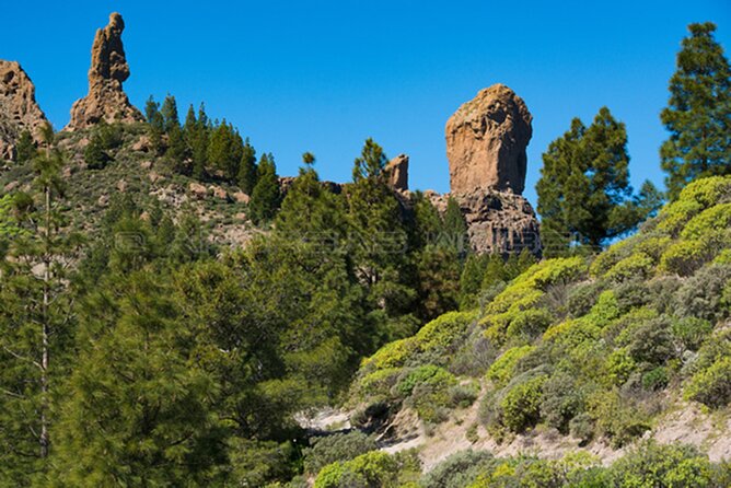 3-Hour Hiking Experience in Roque Nublo - Why Roque Nublo is worth the trip