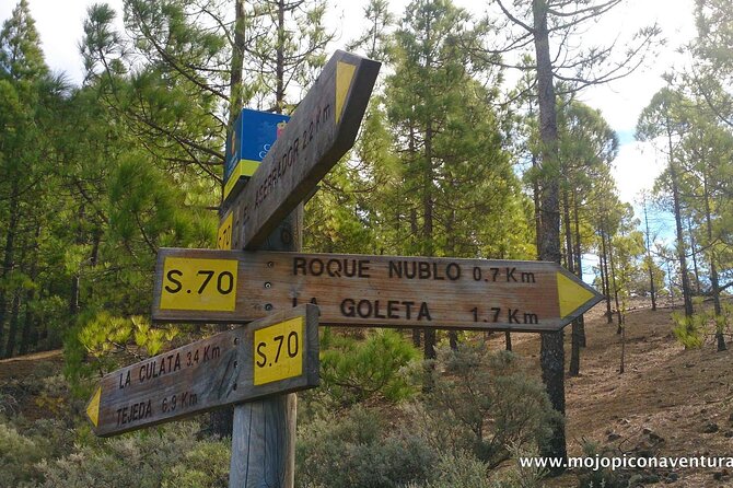 3-Hour Hiking Experience in Roque Nublo - Four scenic stops on the drive