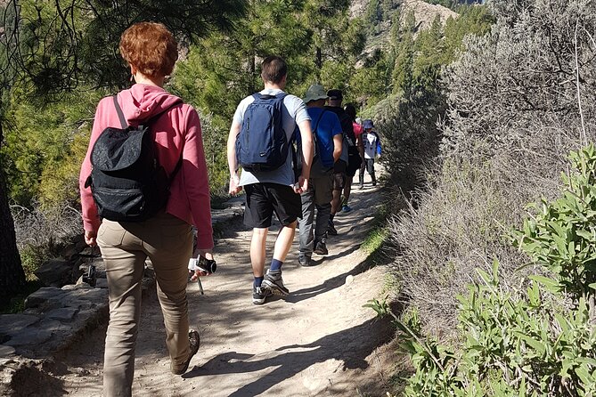3-Hour Hiking Experience in Roque Nublo - What is included for $80.32?