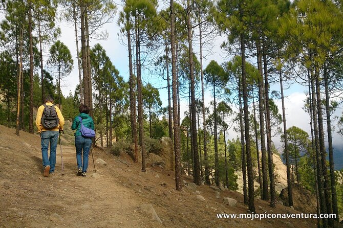 3-Hour Hiking Experience in Roque Nublo - A gentle route with real mountain scenery