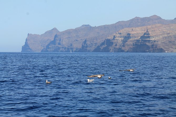 3h Boat Trip + Snorkeling in Puerto de Mogan - Photos and weather-dependent drone footage