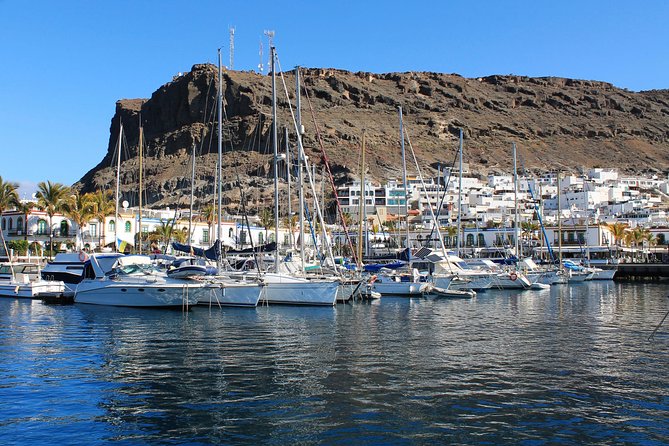 3h Boat Trip + Snorkeling in Puerto de Mogan - Is $71.35 a good value?