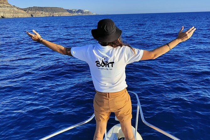 4 Hour Boat Tour with Snorkeling from Puerto Rico and Mogan - Lunch, drinks, and the onboard mood