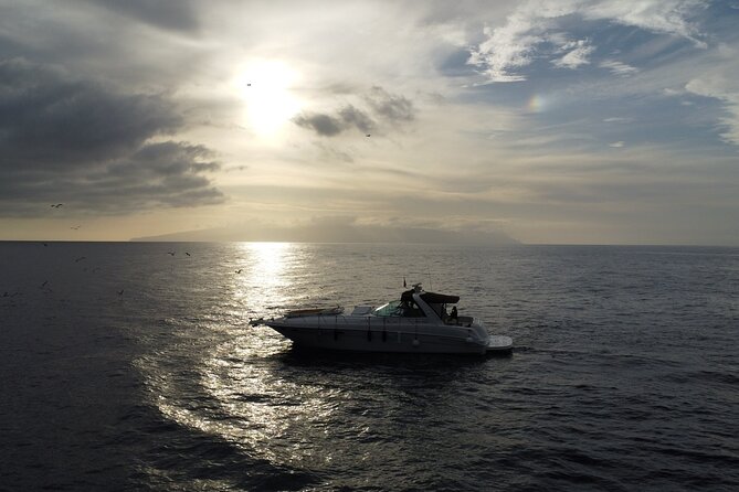 4 Hour Boat Tour with Snorkeling from Puerto Rico and Mogan - Jet skis and optional water sports