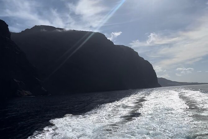 4 Hour Boat Tour with Snorkeling from Puerto Rico and Mogan - Is $90.74 a fair price?