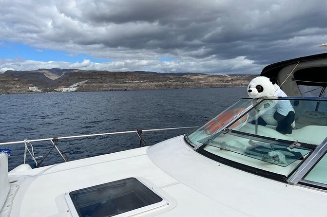 4 Hour Boat Tour with Snorkeling from Puerto Rico and Mogan - Weather, cancellations, and schedule changes