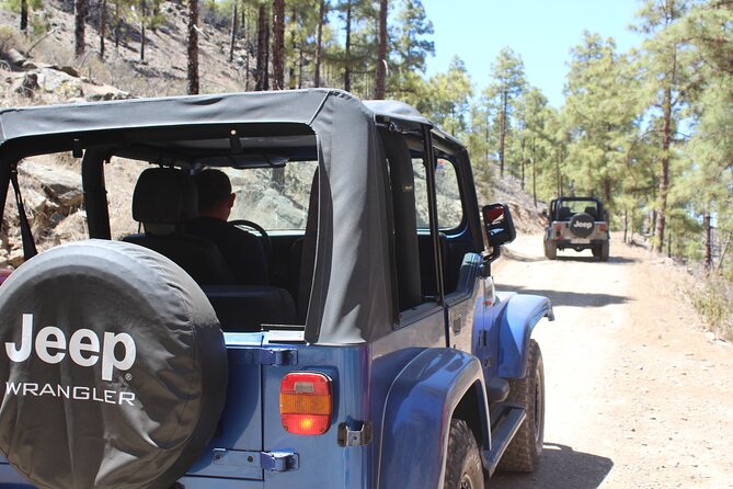 Adventure Driving Jeep Tour in Gran Canaria - Key points to know before you book