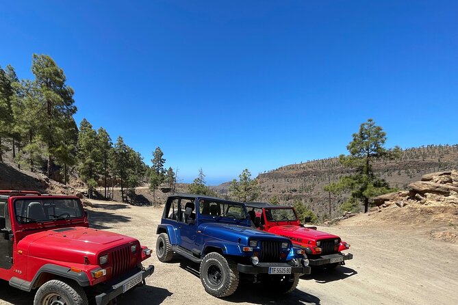 Adventure Driving Jeep Tour in Gran Canaria - Arguineguín and the island’s working coast