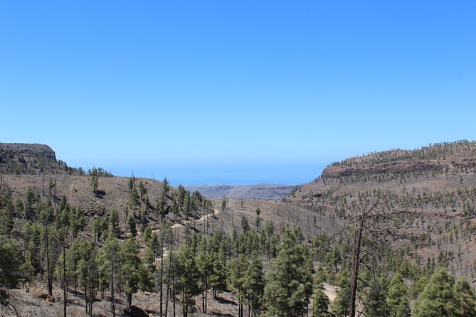 Adventure Driving Jeep Tour in Gran Canaria - The guide’s role and the level of information