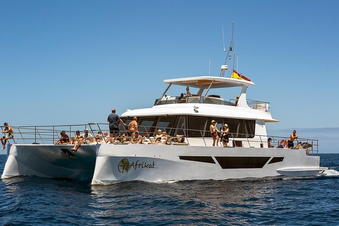 Afrikat Afternoon Cruise - Pickup, port arrival, and the details that matter