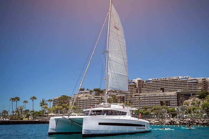 Afternoon Catamaran Trip in Gran Canaria - Leaving Puerto Rico at 3:30 pm