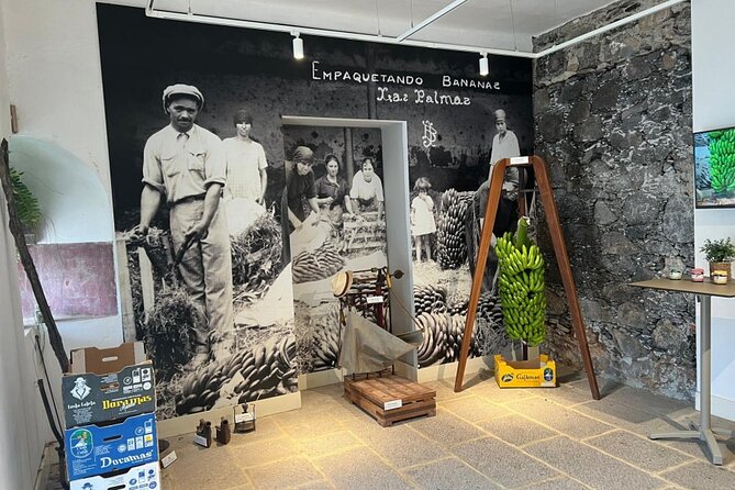 Banana Museum, Rum Distillery & Winery with Tasting: Premium tour - What the strongest parts of the day are