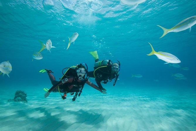 Beginners Scuba Diving Experience in Gran Canaria - Learning to breathe underwater in Gran Canaria