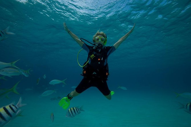 Beginners Scuba Diving Experience in Gran Canaria - Is $108.89 good value?