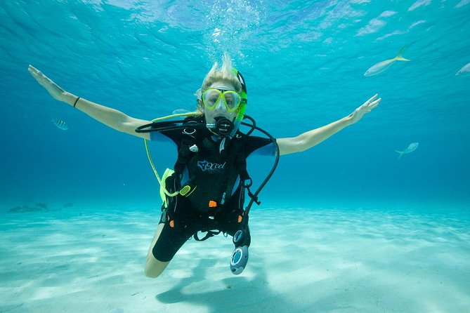 Beginners Scuba Diving Experience in Gran Canaria - What you may see below the surface