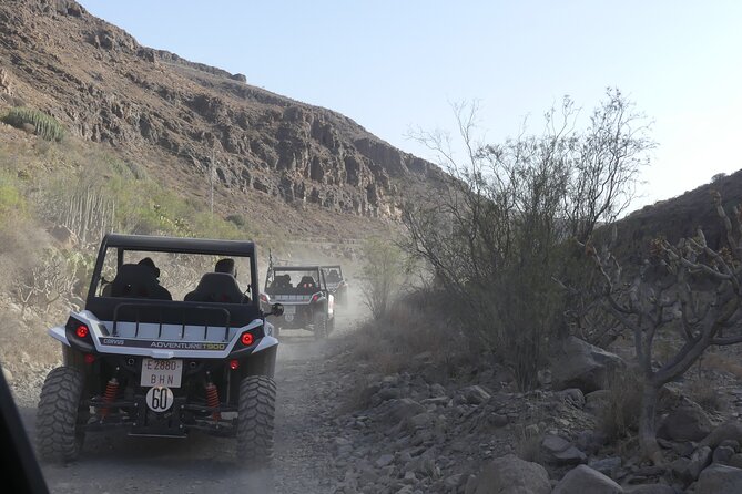 Buggy Tour Gran Canaria - Is $90.70 fair for two hours?