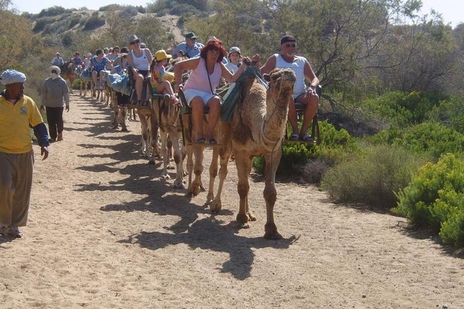 Camel Riding in Maspalomas Dunes - Is $21.63 good value for 30 minutes?