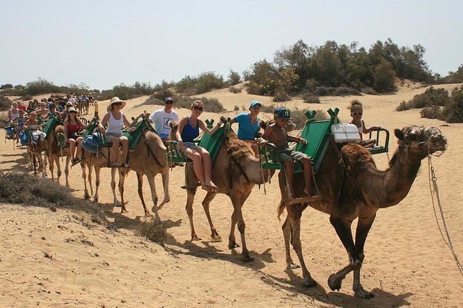 A camel train crossing the Maspalomas dunes at the southern tip of Gran Canaria