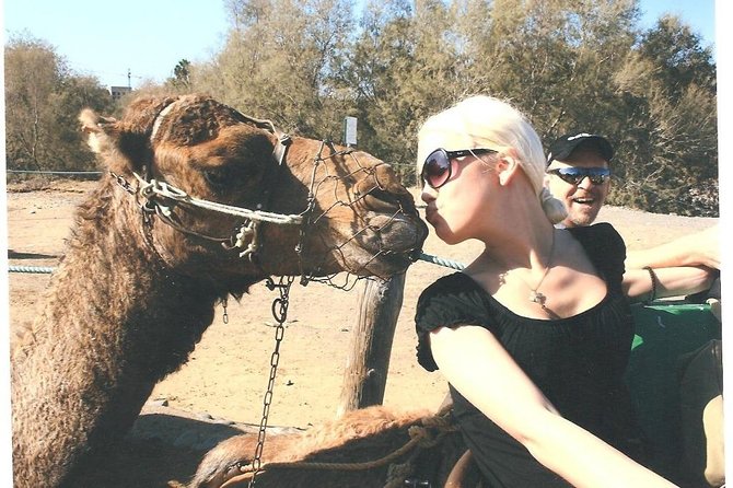 Camel riding in the dunes of Maspalomas - Meeting the camels and preparing to ride