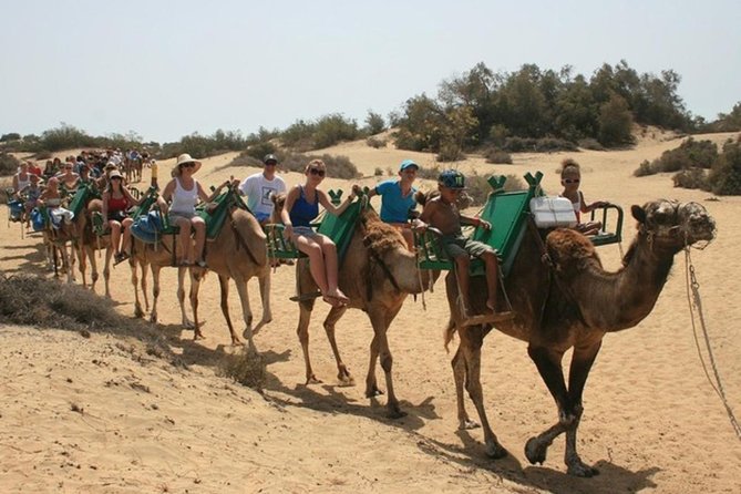 Camel Safari through the Dunes of Maspalomas - A camel ride in the Maspalomas Dunes