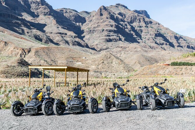 Can-am Ryker three wheels tricycle Mountain Tour (Maspalomas) - What the aloe vera stop adds