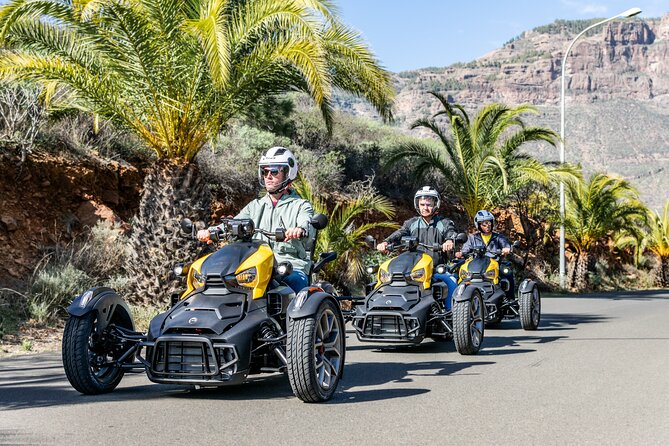 Can-am Ryker three wheels tricycle Mountain Tour (Maspalomas) - The views are part of the value