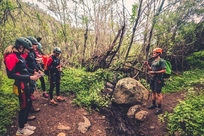Canyoning with Waterfalls in the Rainforest - Small Groups ツ - From hotel pickup to the rainforest