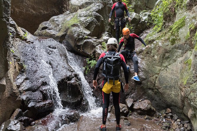 Canyoning with Waterfalls in the Rainforest - Small Groups ツ - Waterfalls, forest, and the canyon route