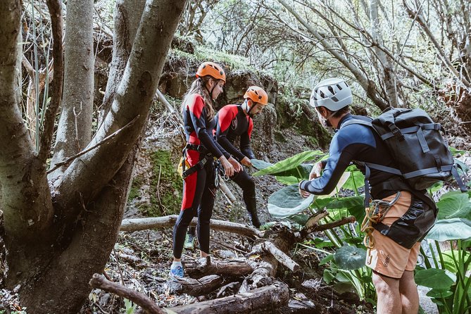 Canyoning with Waterfalls in the Rainforest - Small Groups ツ - Who should book this canyoning tour?
