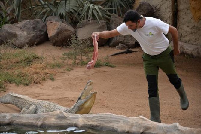 Cocodrilo Park Zoo Admission Ticket in Agüimes - What You Actually See at Cocodrilo Park