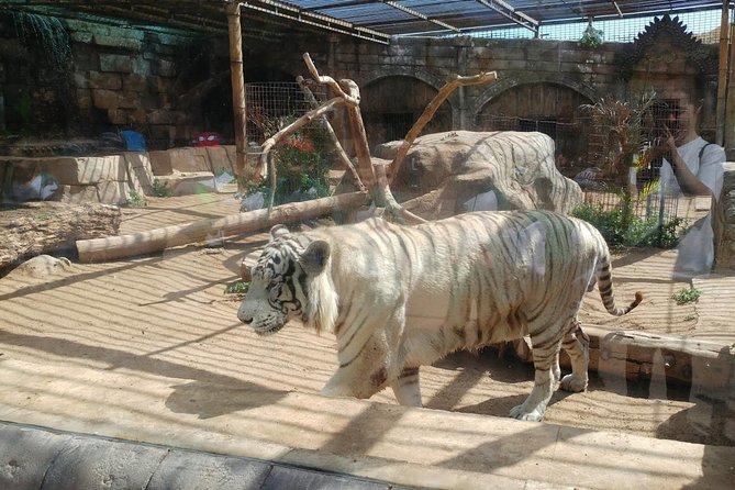 Cocodrilo Park Zoo Admission Ticket in Agüimes - A Rescue Station With a Mixed Physical Setting