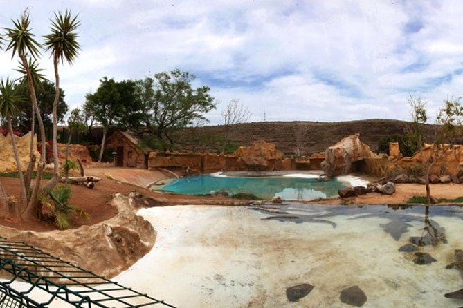 Cocodrilo Park Zoo Admission Ticket in Agüimes - Getting There From Maspalomas and Other Resort Areas