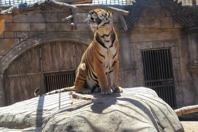 Cocodrilo Park Zoo Admission Ticket in Agüimes - Accessibility and Comfort Notes
