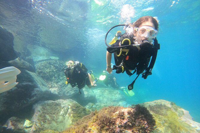 Discover Scuba Dive in Gran Canaria - Why this beginner scuba session is worth considering