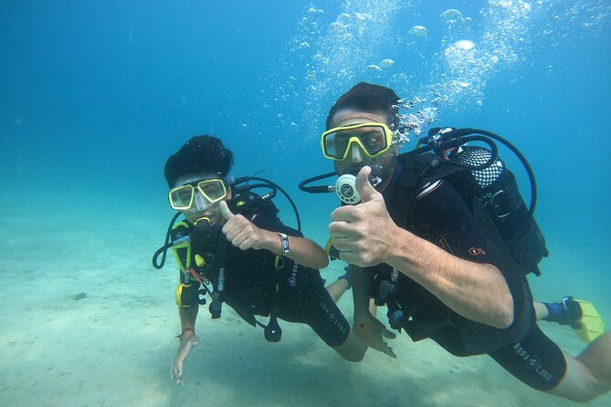 Discover Scuba Dive in Gran Canaria - The real timing: advertised half-day, reported shorter session