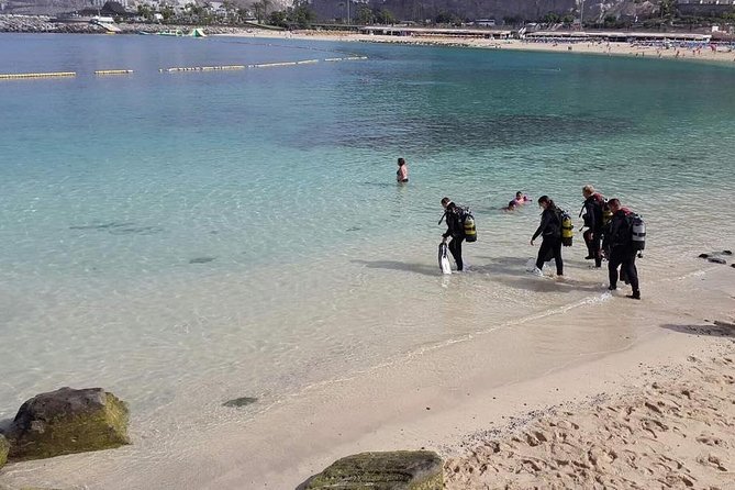Discover Scuba diving in Gran Canaria with Hotel Pick-up - Who should book, and who should think twice