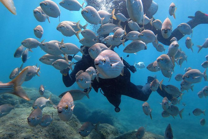 Discover Scuba Diving in Puerto de Mogan - A low-pressure introduction in Puerto de Mogán