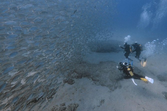 Discover Scuba Diving in Puerto de Mogan - The human side of the instruction