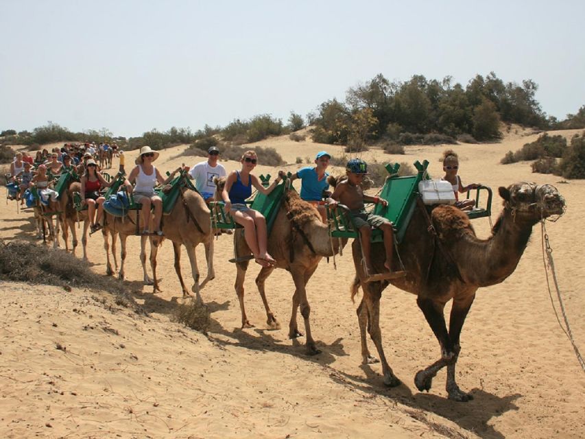 E-Bike City Tour with Camel Safari on Maspalomas Sand Dunes - Price, timing, and what is included